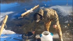 Хранение, перевозка живца к месту ловли хищника. Зея. Амурская область