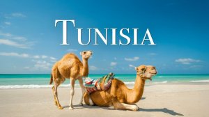 Тунис - живописный расслабляющий фильм с успокаивающей музыкой