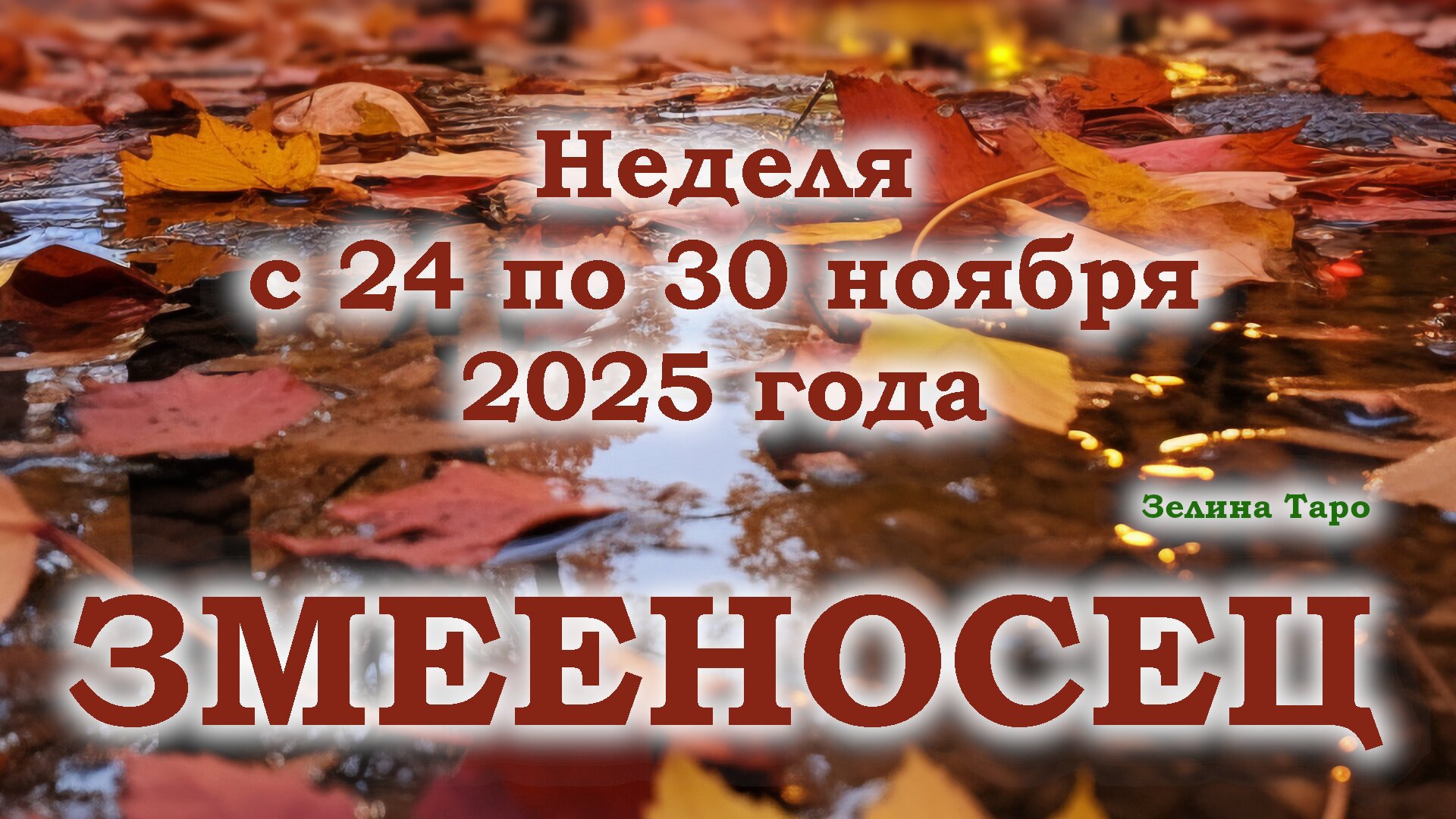 ЗМЕЕНОСЕЦ | ТАРО прогноз на неделю с 24 по 30 ноября 2025 года