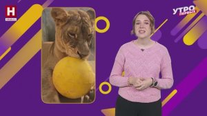 Лучшие видео недели | В ТРЕНДЕ