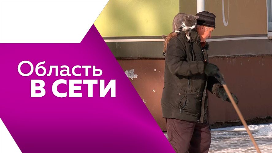 Область в сети №325