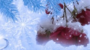 ЗИМА У ПОРОГА