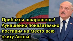 Прибалты ошарашены! Лукашенко показательно поставил на место всю элиту Литвы!