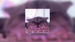 Самые популярные треки из TikTok 2025 remix #Музыка