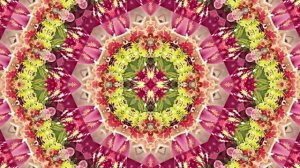 Видеофоны! Видеофон Осенняя цветочная фантазия 6 от Киностудии Мудрого Кота Тимофея!