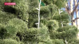 СТОЛИЦУ КАМЧАТКИ ГОТОВЯТ К ПРАЗДНОВАНИЮ НОВОГО ГОДА • НОВОСТИ КАМЧАТКИ