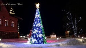 Ель_времена_года_Иванково_СССР