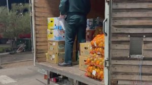 В Сочи из Абхазии пытались незаконно провезти полтонны мандаринов