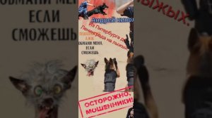 Из Питерм до Ленинграда