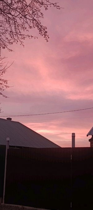 всем приветик