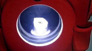 Ульяновский областной краеведческий музей имени И.А. Гончарова. 
Экспозиция «Древний мир»