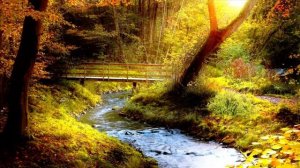 22 ноября — Время особых перемен.