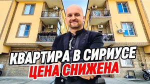 Сириус. Квартира с ремонтом по сниженной цене. Квартира в Сириусе с ремонтом.