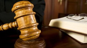 Суд огласит приговор по делу о мошенничестве против Долиной 28 ноября