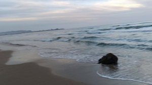 🐬🐬🐬Анапа Пионерский Проспект🌊🌊🌊 21.11.25 г