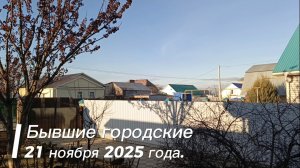 В Новом ждём зиму❄️. Прогулка вокруг дома🏡 Как моя птичка в прохладу🪿🦆🐓?