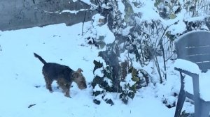 Снег в Ноябре-2025