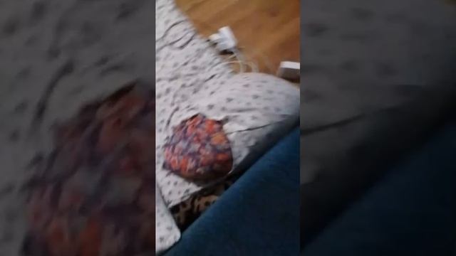 обедня поч на прошлой трансляции я н появилась смотреть онлайн