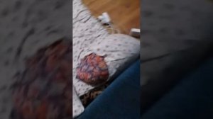 обедня поч на прошлой трансляции я н появилась