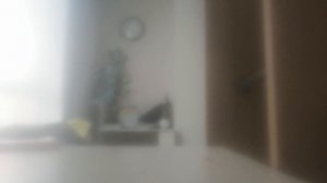 13 новых мерчей