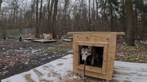 Поздняя осень