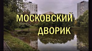 Московский дворик сентябрь 2022 г.