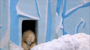 Наступили холода и у Кая игры закончились 19.11.2025