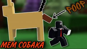 СТРОИМ МЕМНУЮ СОБАКУ В ПОСТРОЙ КОРАБЛЬ И НАЙДИ СОКРОВИЩЕ !