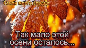 Так мало этой осени осталось...