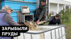 Привезли 200кг малька карпа, амура и толстолоба, делаю свой собственный виноградник на поместье