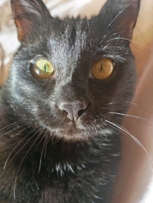 стрим по фарминга симулятор.25 пожалуйста не заходите кому больше 10 лет