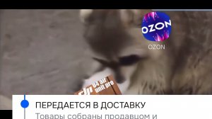 Когда заказал комплектуху для квадрокоптера, но что то пошло не так.