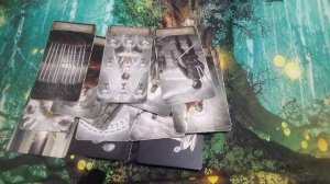 Скорпионы  Декабрь 2025 таро Отношения Любовь ,Свободные