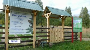 Задания 2025 года Моршанский лесхоз выполнил досрочно