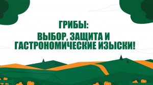 Грибная ферма дома: как вырастить вешенки и не только?
