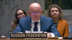 Statement by Vassily Nebenzia at UNSC Briefing on Ukraine