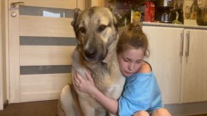 👑ИМПЕРИЯ ТИТАНОВ👑АБОРИГЕННЫЕ ГАМПРЫ РАБОЧЕГО НАПРАВЛЕНИЯ#гампр#