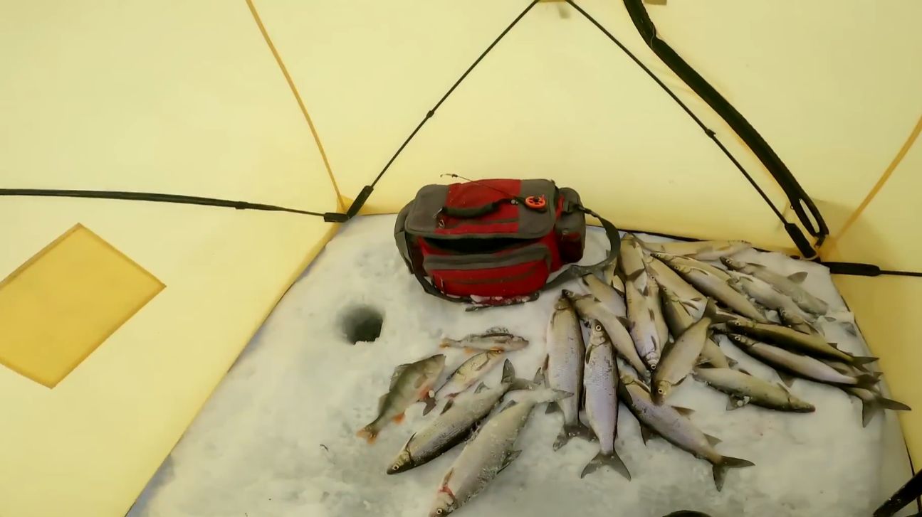 Рыбалка у чёрной дыры. Восьмая серия.