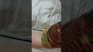 ,декор пальто лентой из стропы