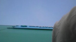 СЕНТЯБРЁВСКИЙ УЛИЧНЫЙ БЛОГ №1532 БОЛЬШАЯ ГОЛОВА.. ПРОГУЛОЧКА ПО БУТОВО... ДО ПАДИКА...