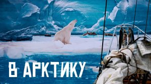 В Арктику