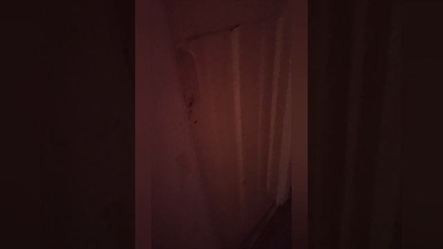 ГРЕНДПА ПРЕСЛЕДУЕТ ТИГРУ В ЗАБРОШЕННОМ ДЕРЕВНЕ. ВТАЩИЛ ДЕДУ ЛОПАТОЙ. (ЧАСТЬ 9)