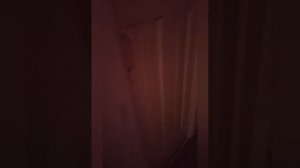 ГРЕНДПА ПРЕСЛЕДУЕТ ТИГРУ В ЗАБРОШЕННОМ ДЕРЕВНЕ. ВТАЩИЛ ДЕДУ ЛОПАТОЙ. (ЧАСТЬ 9)