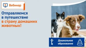 Отправляемся в путешествие в страну домашних животных!