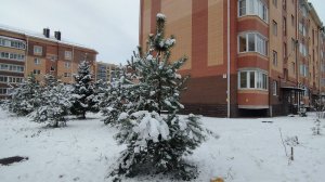 Обзор продуктов с ЛЕНТЫ/Готовлю/Занимаюсь цветами