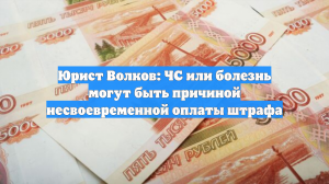 Юрист Волков: ЧС или болезнь могут быть причиной несвоевременной оплаты штрафа