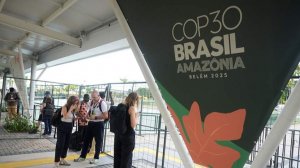 NYP сообщила о пожаре на саммите COP30 в Бразилии