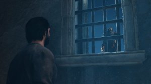 Assassin’s Creed Mirage: Valley of Memory (PS5 Pro) - серия 3 - Слишком умная птица