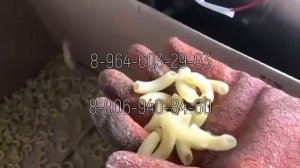 Линия производства макарон (100-150 кг/ч)