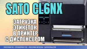 SATO CL6NX: УСТАНОВКА РУЛОНА ЭТИКЕТОК В РЕЖИМЕ ОТДЕЛИТЕЛЯ (5)